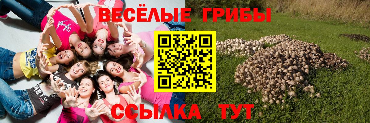 Галлюциногенные грибы ЛСД Качканар