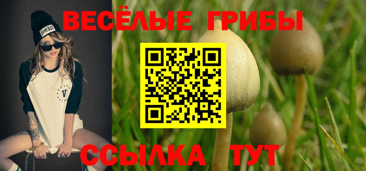 Качканар  Галлюциногенные грибы Magic Shrooms  Галлюциногенные грибы Psilocybe  Вход с VPN 